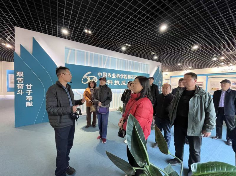 690c5d917f43d.jpg 690c5d917f43d.jpg